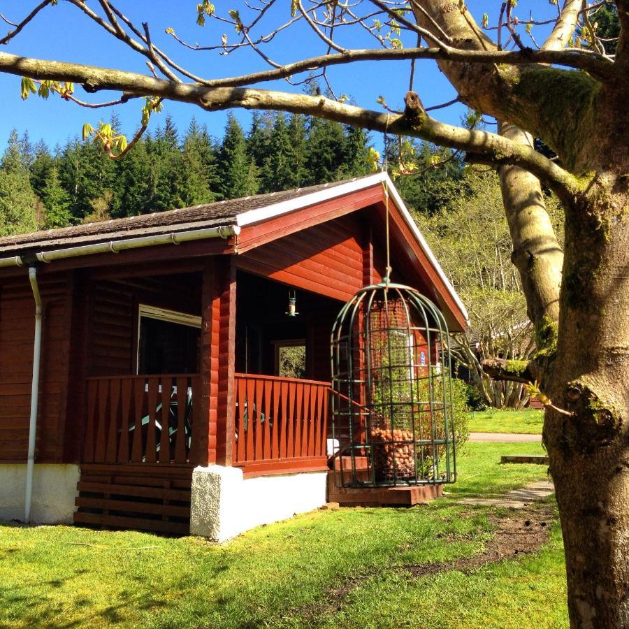 Stravaigin Lodge 다눈 외부 사진